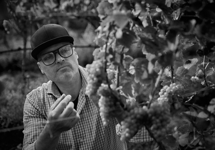 Weingut Peter Sölva