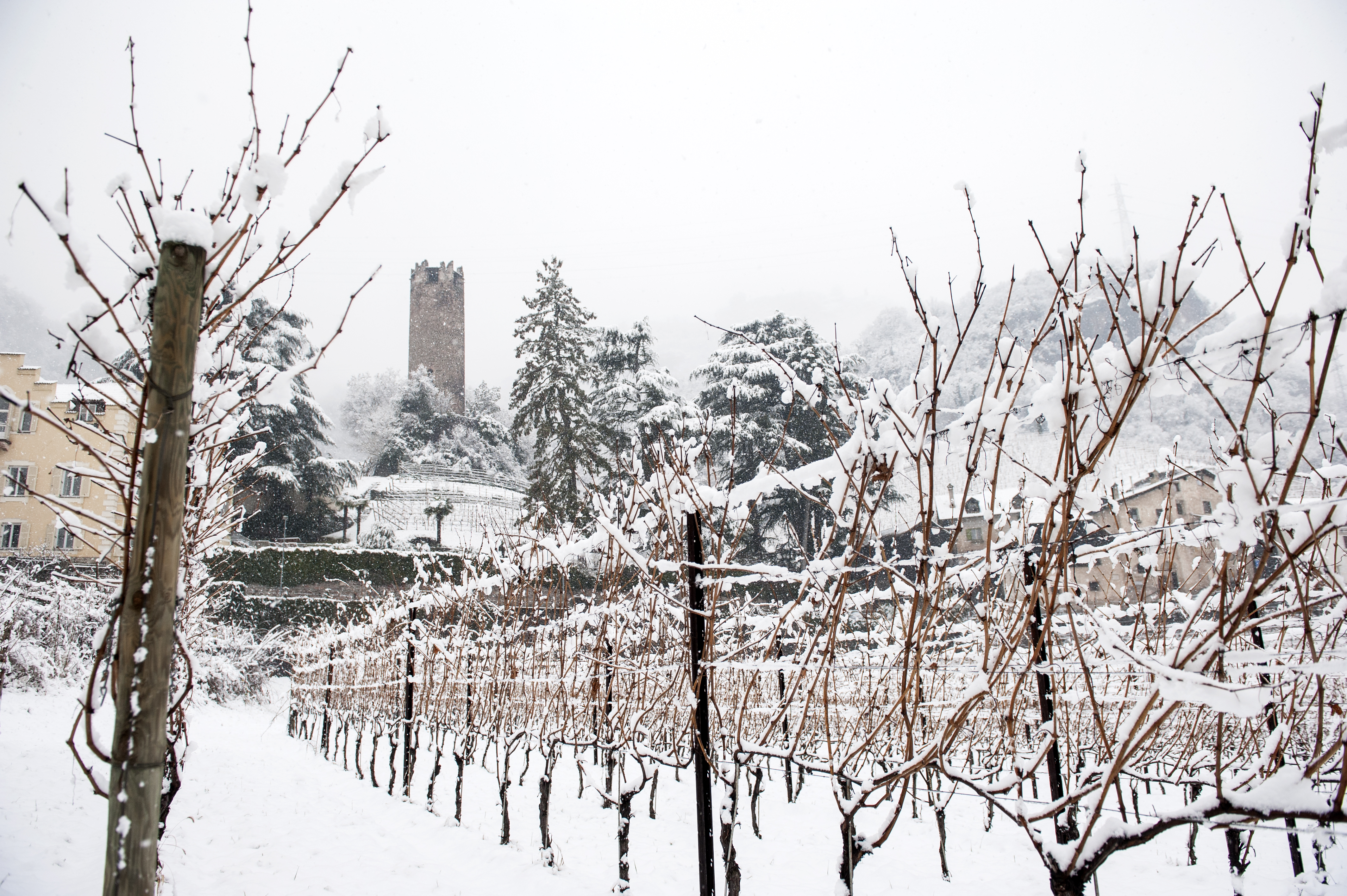Tenuta Hans Rottensteiner